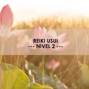 Reiki Usui Nivel 2