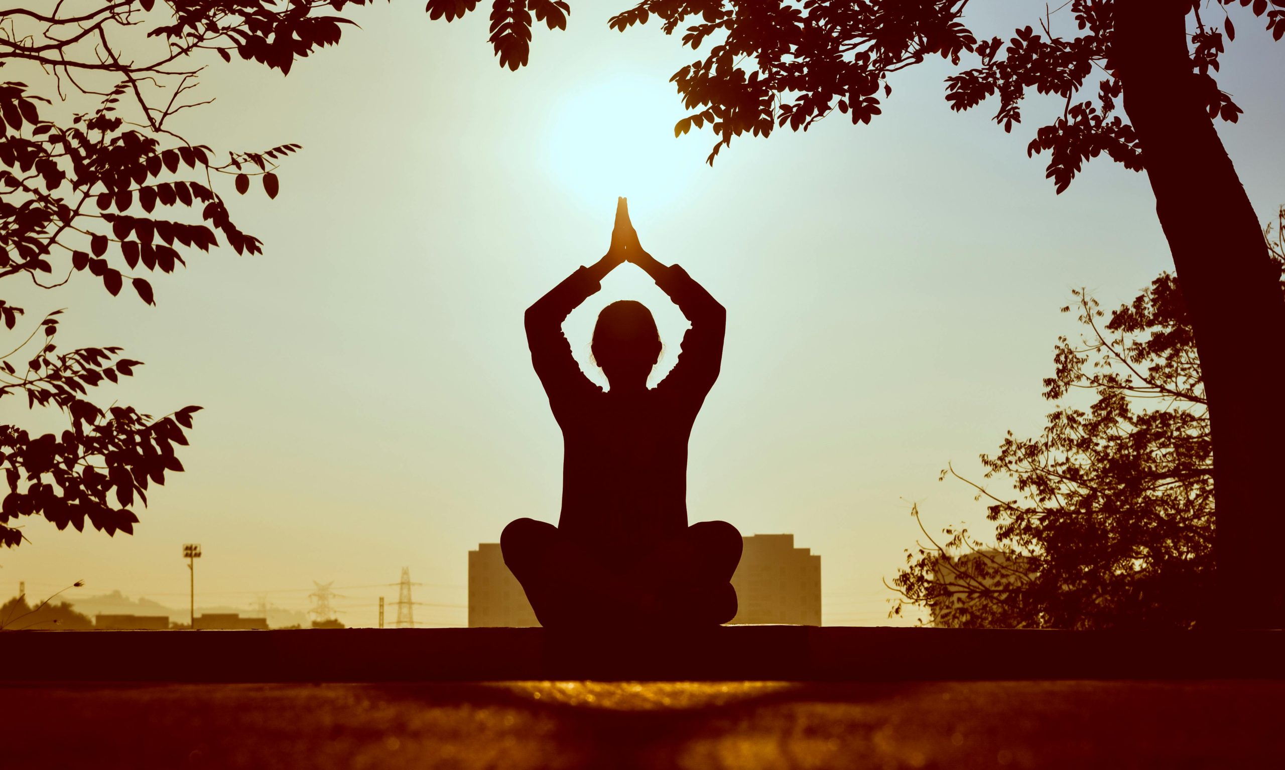banner de columna como aprender a meditar.